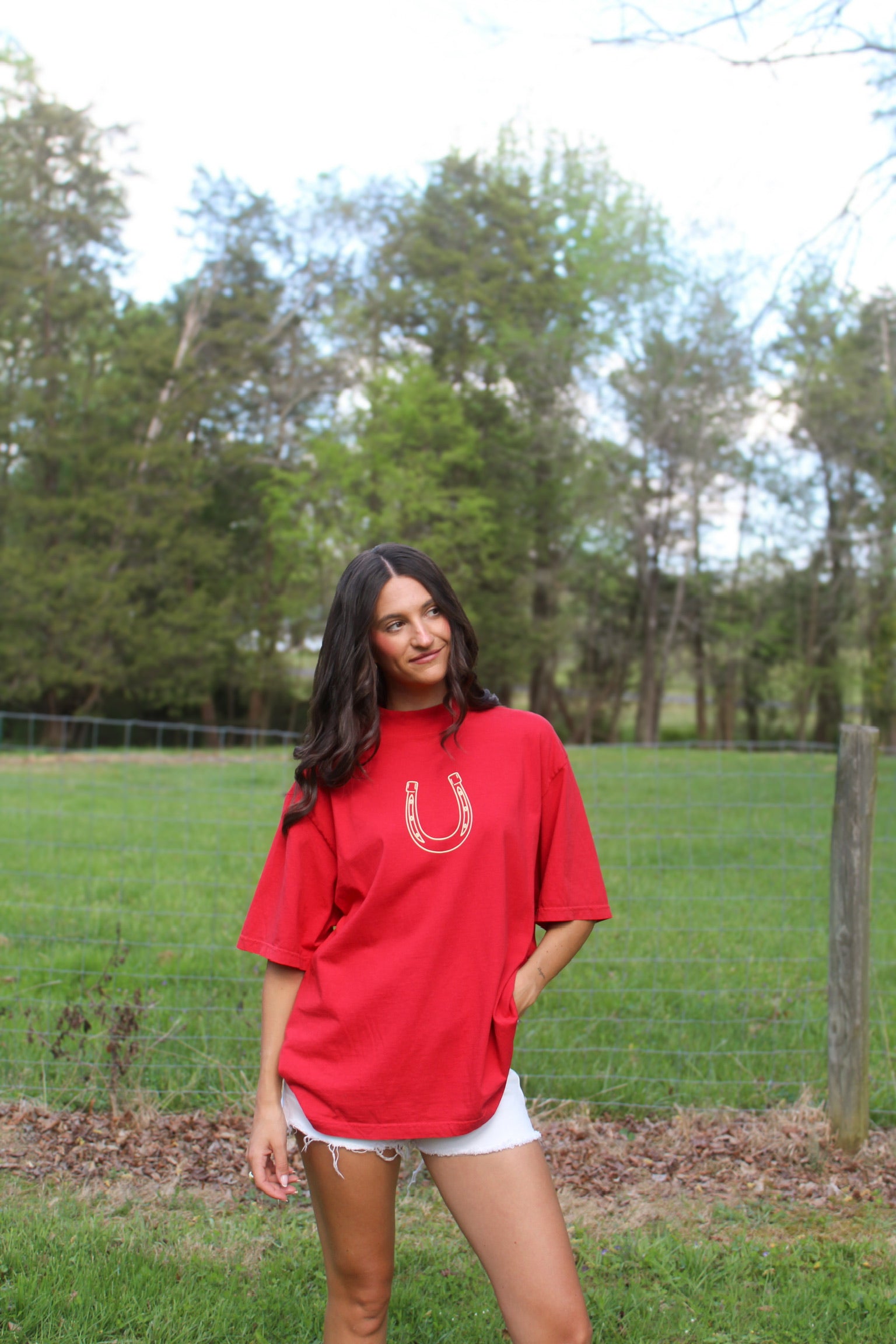 Horseshoe Mockneck