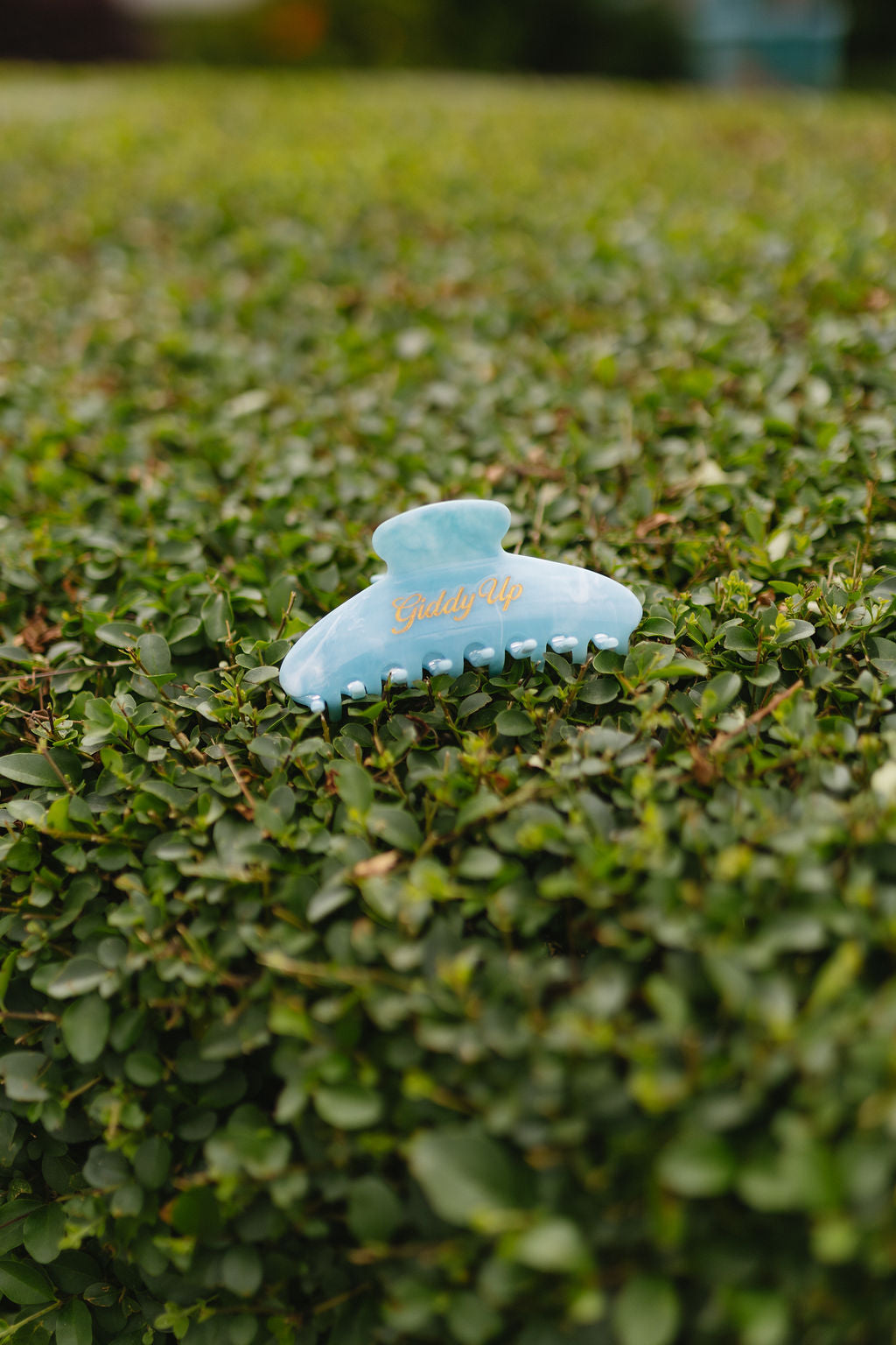 Giddy Up Claw Clip- Blue