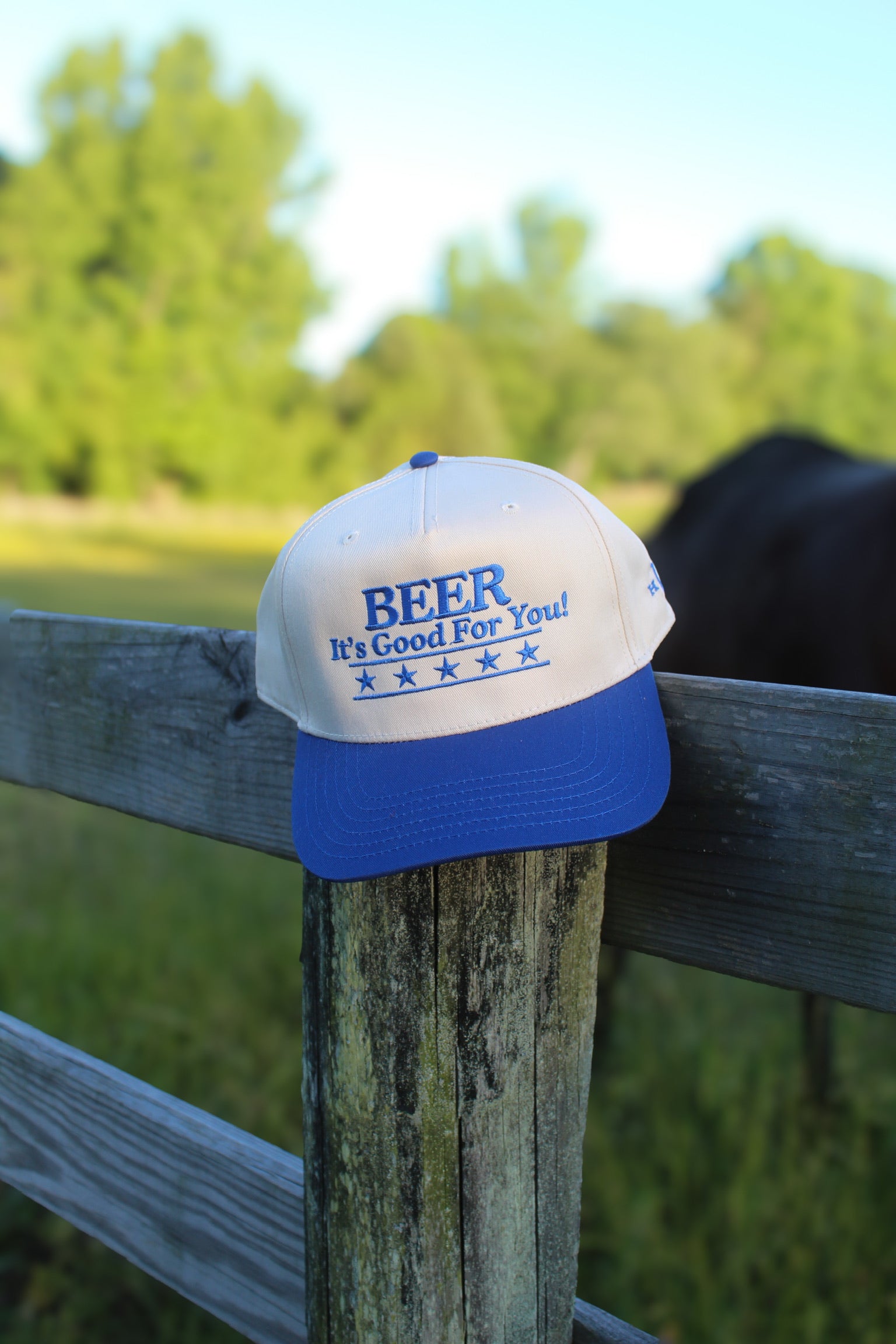 Beer It's Good For You Hat