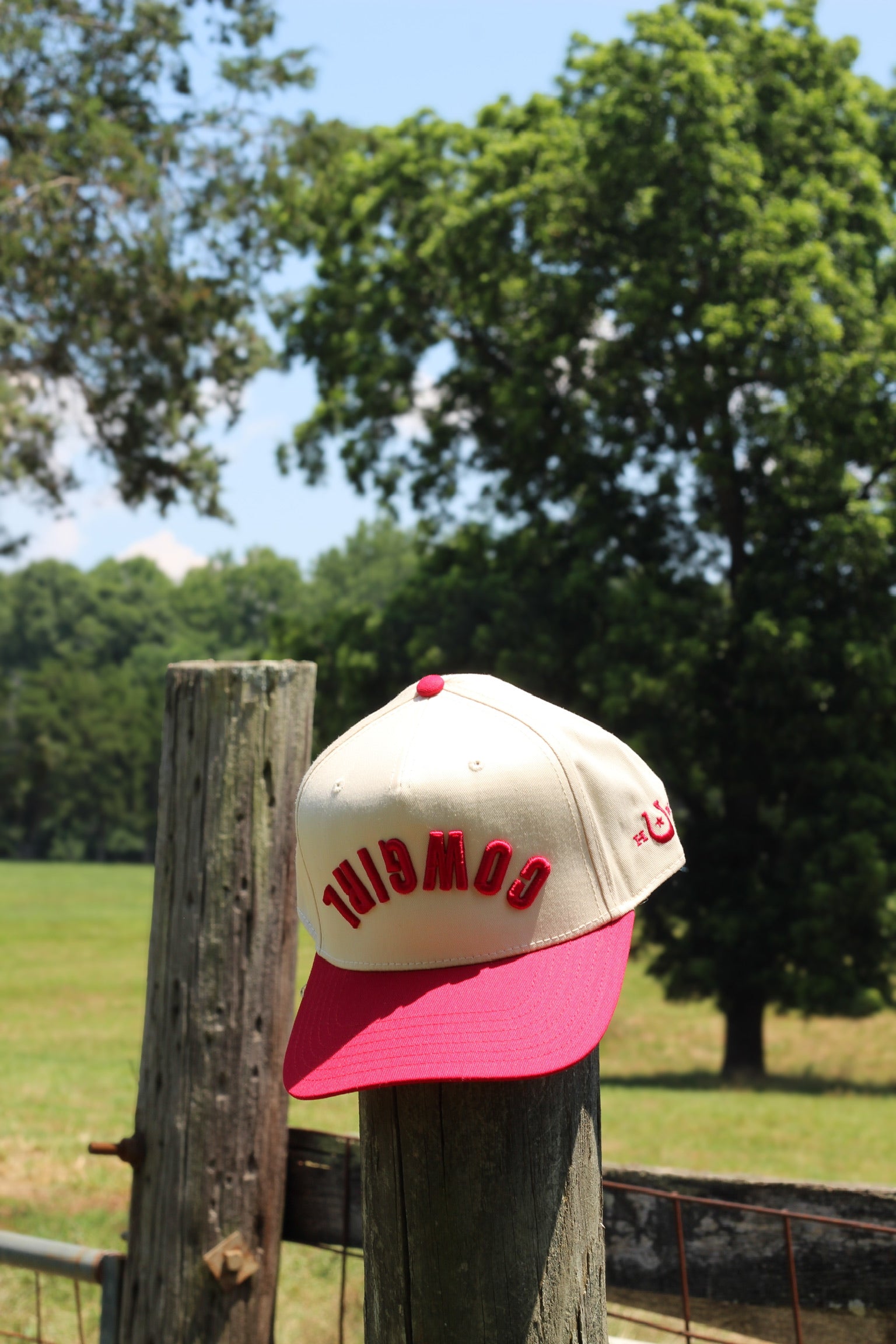 Cowgirl Hat