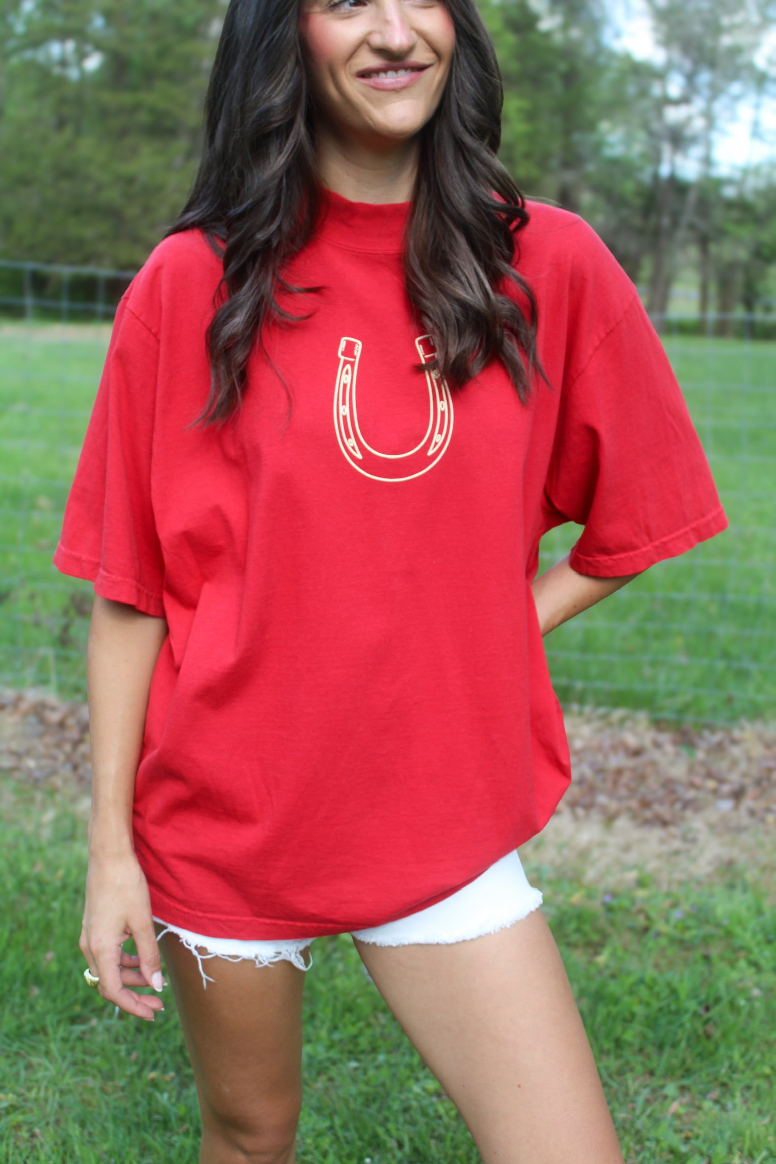 Horseshoe Mockneck