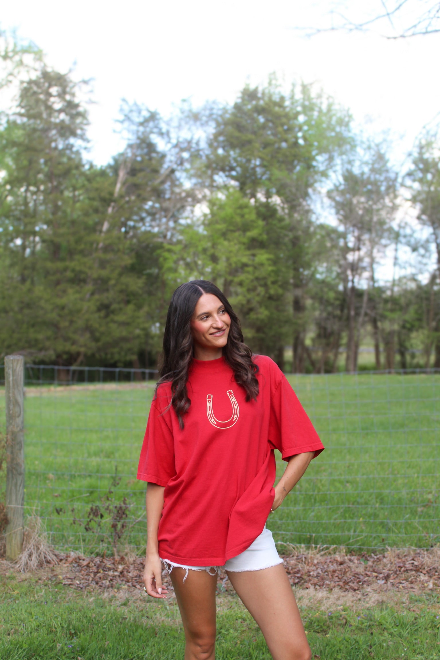 Horseshoe Mockneck
