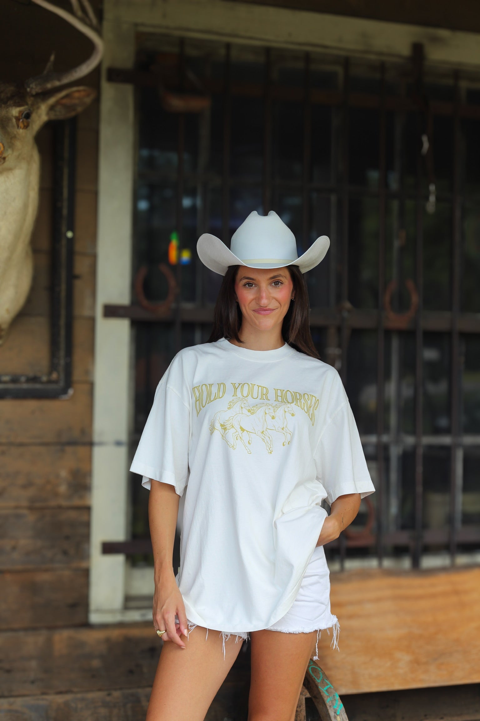 Hold Your Horses Tshirt