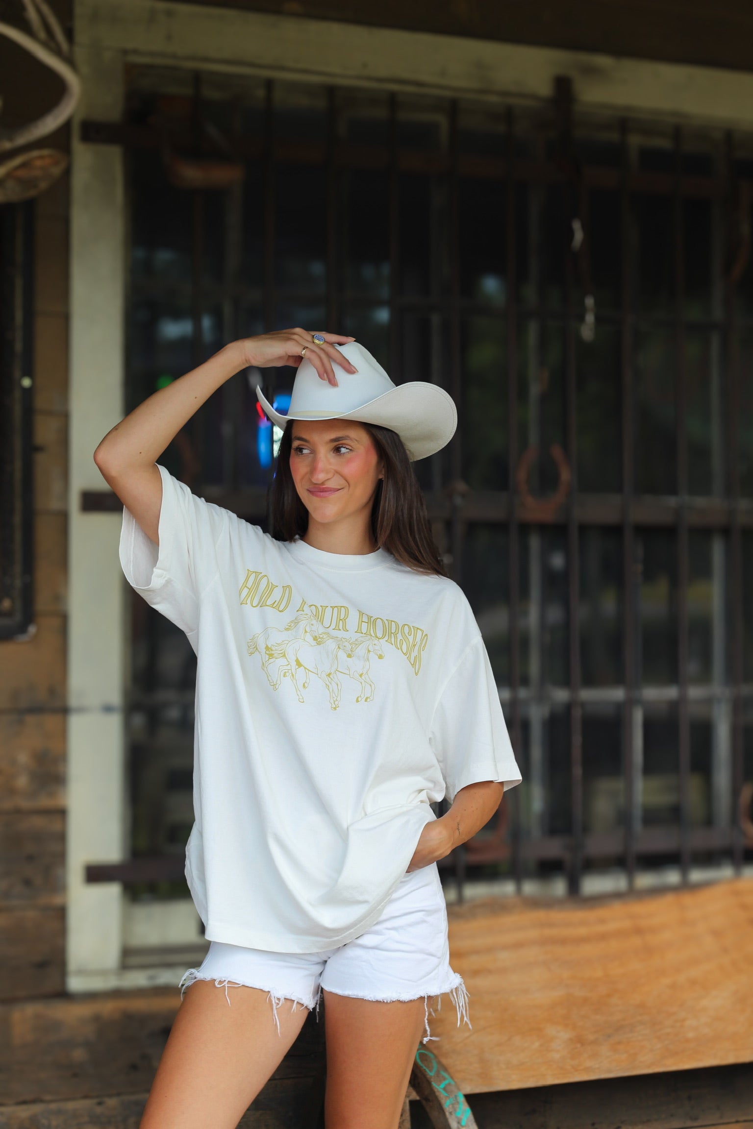 Hold Your Horses Tshirt