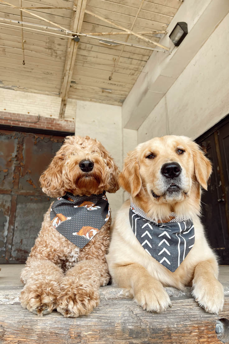 White Dog Bandana